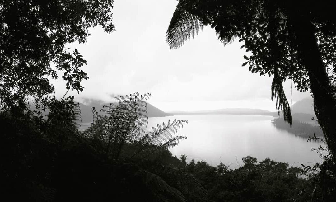 Carnet de route 1 – La tentation d’une île